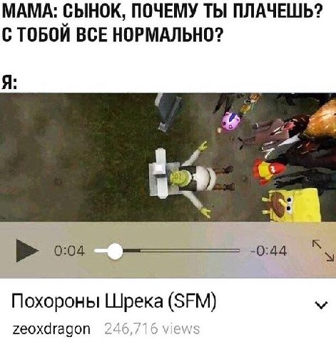МАМА: СЫНОК, ПОЧЕМУ ТЫ ПЛАЧЕШЬ? С ТОБОЙ ВСЕ НОРМАЛЬНО? Я: 3 0:04 -0:44 Похороны Шрека (SFM) у zeoxdragon 246,716 views