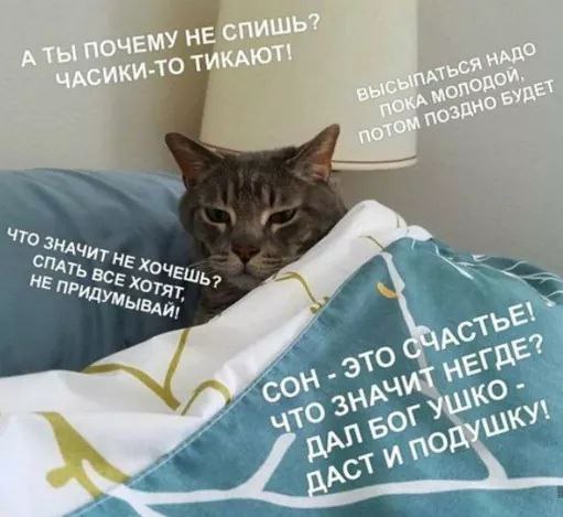 спишь? ПОЧ ЕМУ НЕ ЧАС ито КАЮТ! eynet no’ о СПАТ НЕ ПРид Хот ЕШЬ yet 7, У 60