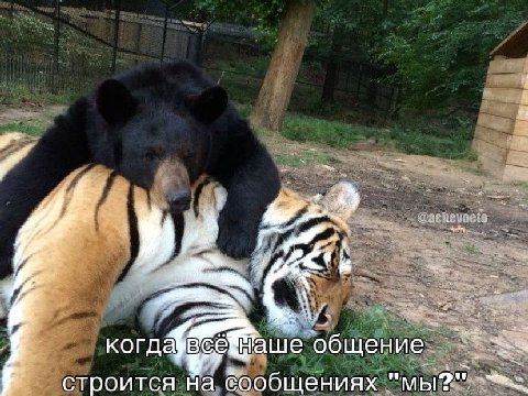 7 когда ‘общение. строится На бообщениях