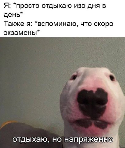Я: *просто отдыхаю изо дня в день* Также я: *вспоминаю, что скоро экзамены* отдыхаю, но напряженно.