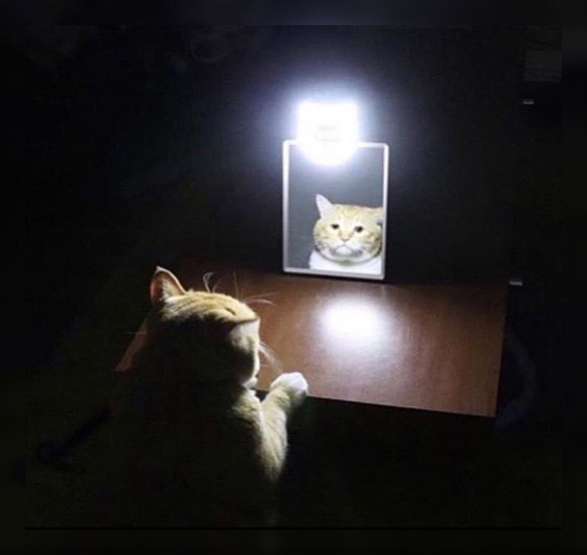 я