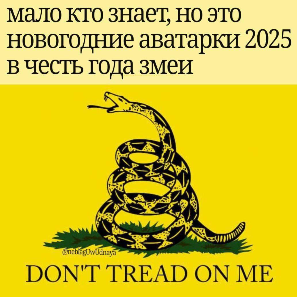 мало кто знает, но это новогодние аватарки 2025 в честь года змеи я DON'T TREAD ON ME