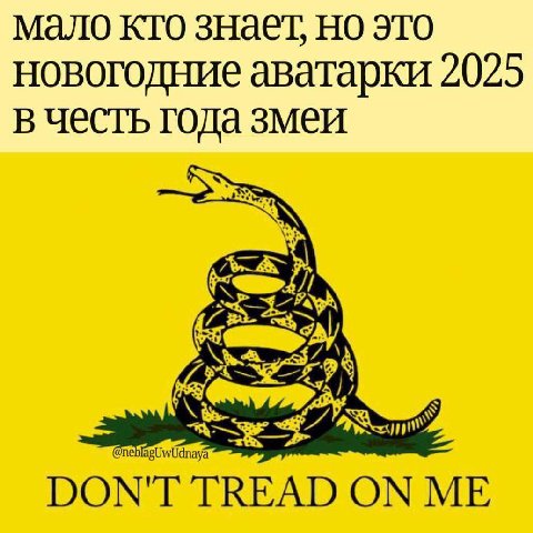 мало кто знает, но это новогодние аватарки 2025 в честь года змеи я DON'T TREAD ON ME