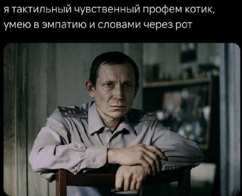 я тактильный чувственный профем котик, умею в эмпатию и словами через рот