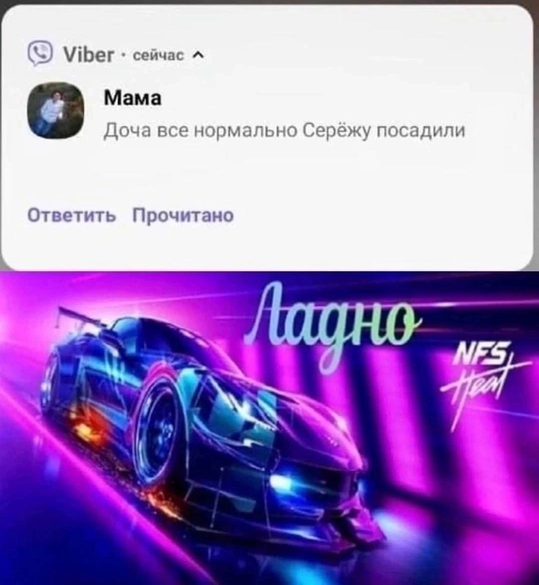 Viber сейчас Мама 8 Доча все нормально Серёжу посадили Ответить Прочитано MES,