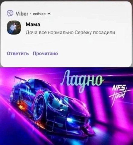 Viber сейчас Мама 8 Доча все нормально Серёжу посадили Ответить Прочитано MES,