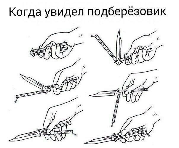 Когда увидел подберезовик AVE