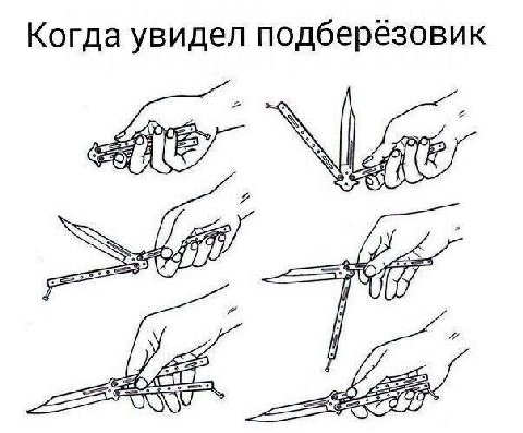 Когда увидел подберезовик AVE