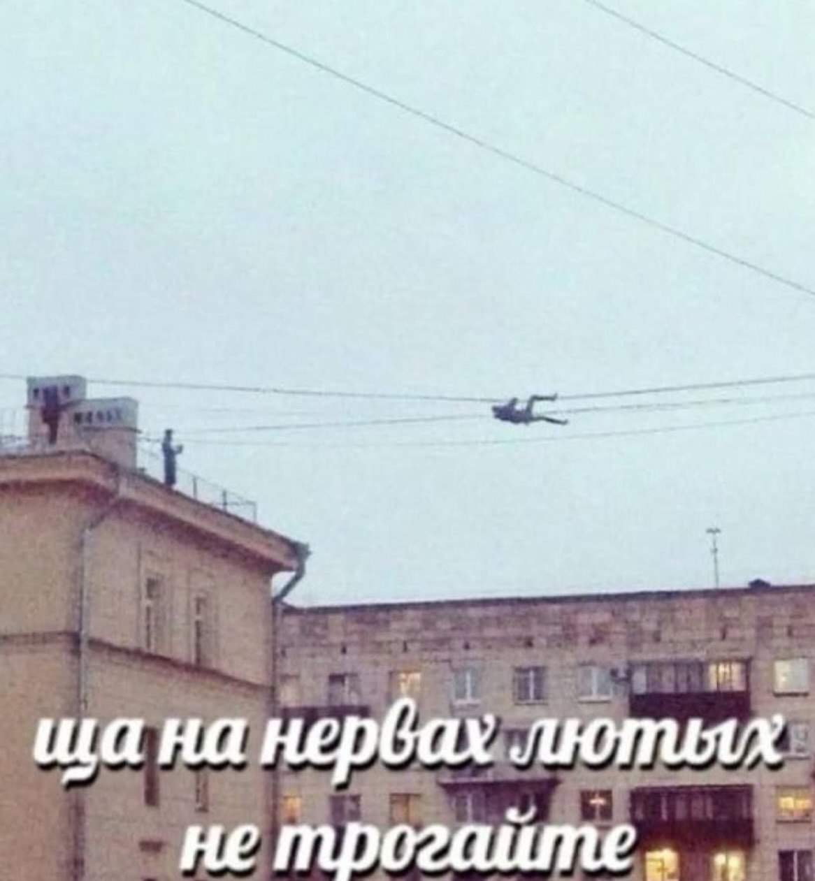 лютых не трогайте.