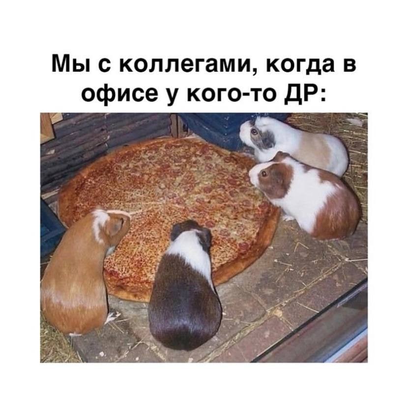 Мы с коллегами, когда в офисе у кого-то