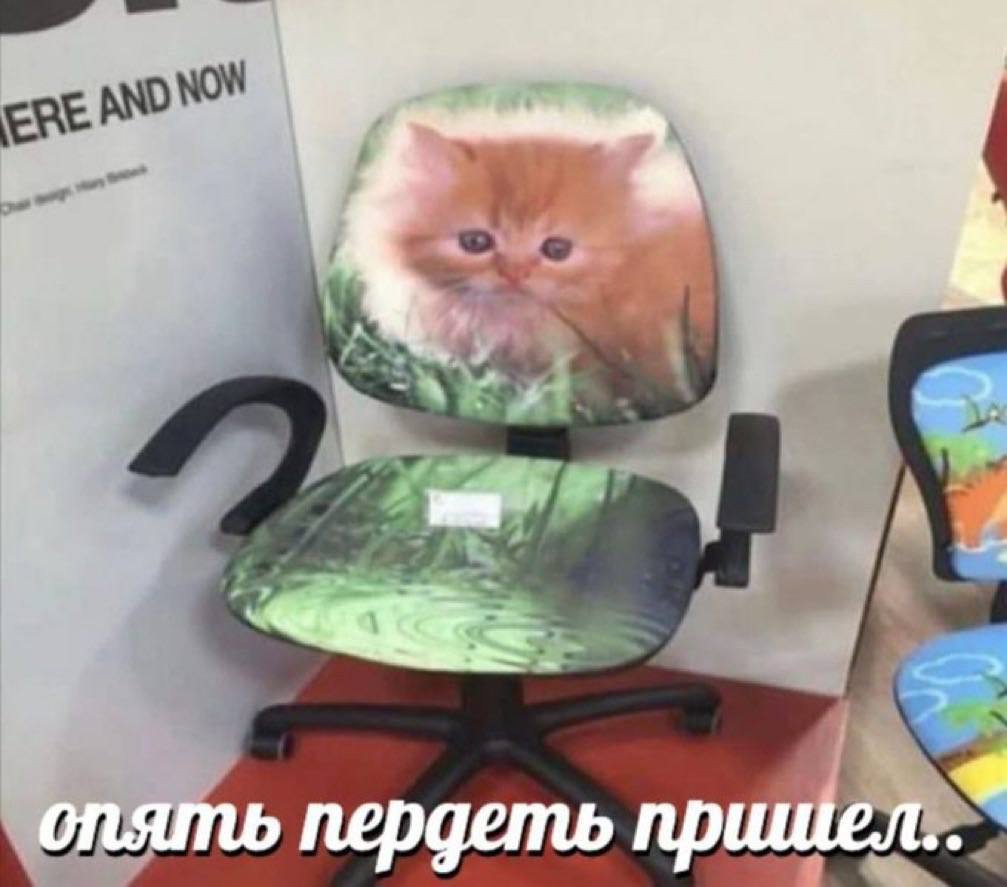 опять пердеть пришел..