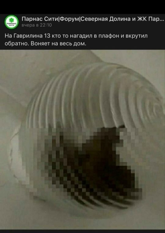 Парнас Сити|Форум|Северная Долина и Пар 2 вчера в 22:10 На Гаврилина 13 кто то нагадил в плафон и вкрутил обратно. Воняет на весь дом.