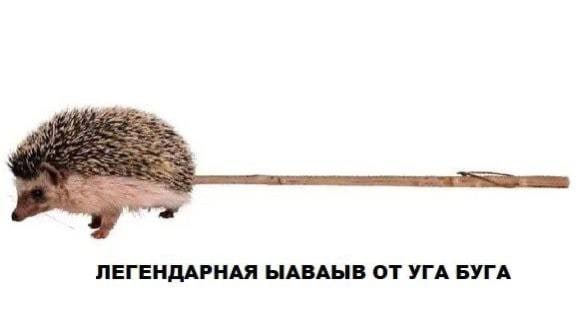 ЛЕГЕНДАРНАЯ ЫАВАЫВ ОТ УГА БУГА