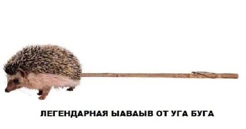 ЛЕГЕНДАРНАЯ ЫАВАЫВ ОТ УГА БУГА