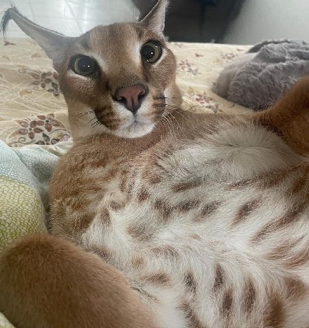 or в. 3 We 4 4