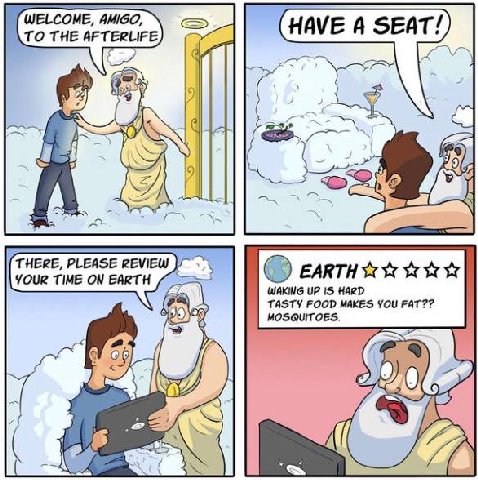 Mosquitoes.