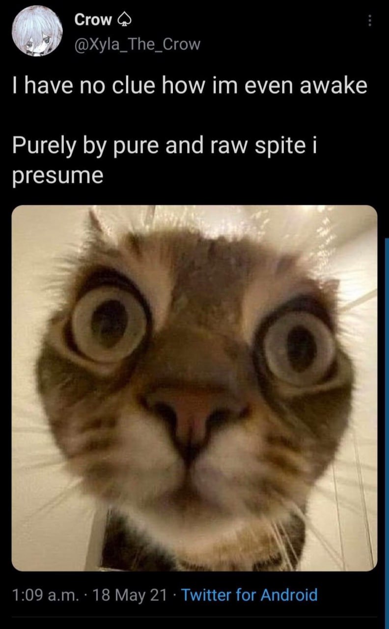 Crow have no clue how even awake Purely pure and raw spite presume 1:09 18 Мау 21 Twitter for Android