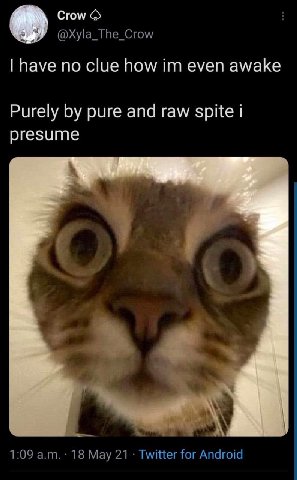 Crow have no clue how even awake Purely pure and raw spite presume 1:09 18 Мау 21 Twitter for Android