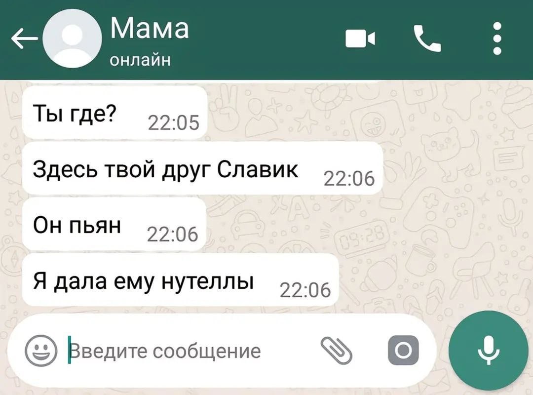 Мама 6 онлайн Ты где? 22-05 Здесь твой друг Славик 22.06 Он пьян 22:06 Я дала ему нутеллы 22:06 Введите сообщение