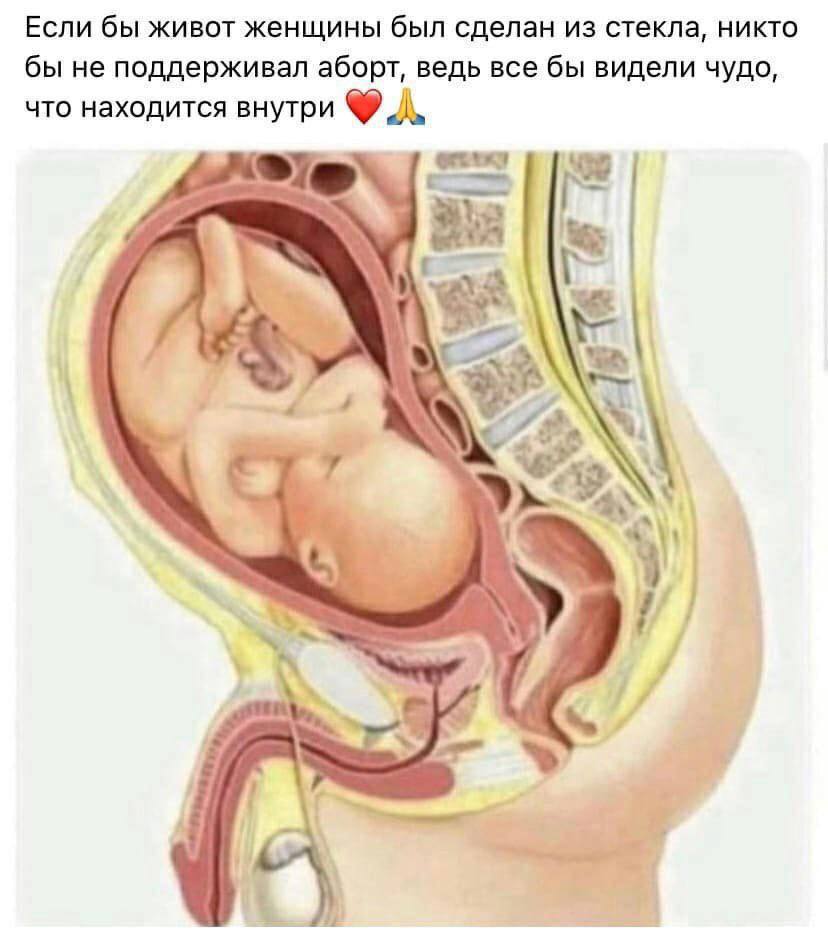 Если бы живот женщины был сделан из стекла, никто бы не поддерживал аборт, ведь все бы видели чудо, что находится внутри у 7,
