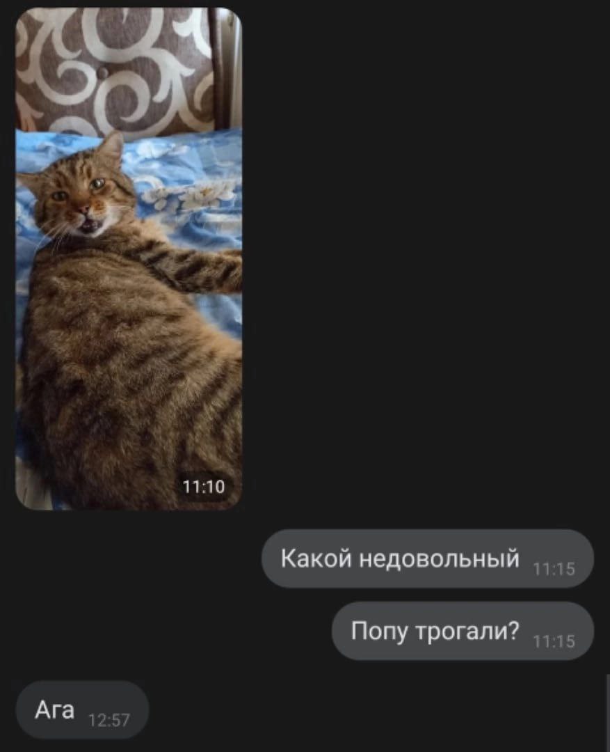 11:10 Какой недовольный Попу трогали? Ага