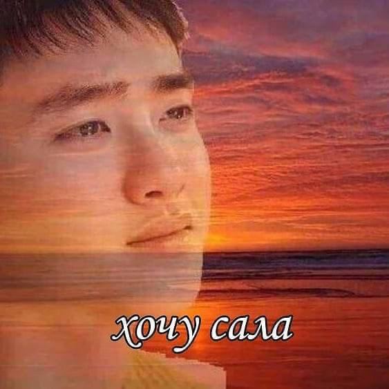 сала