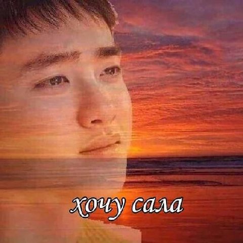 сала