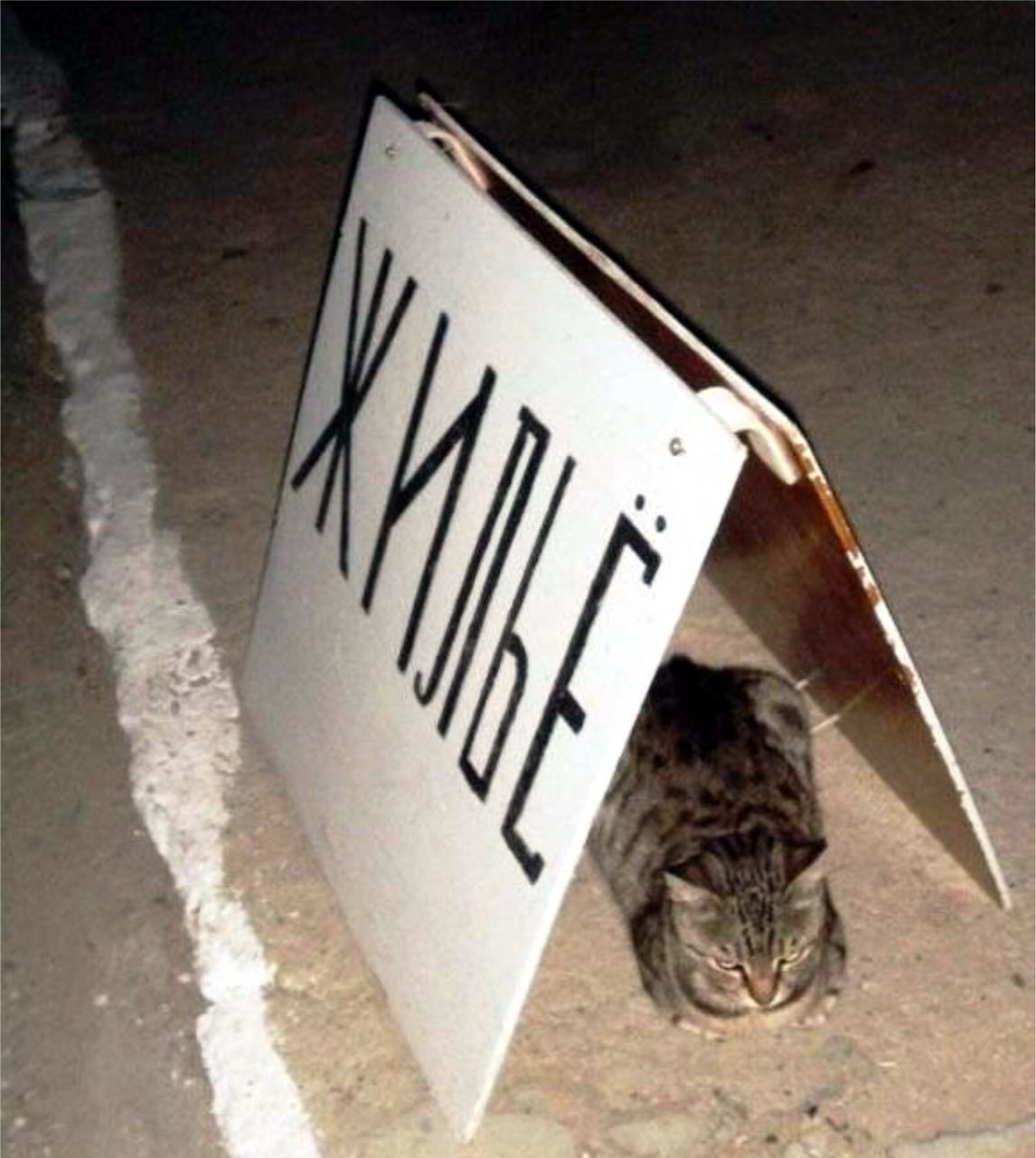 a a7 5 у on