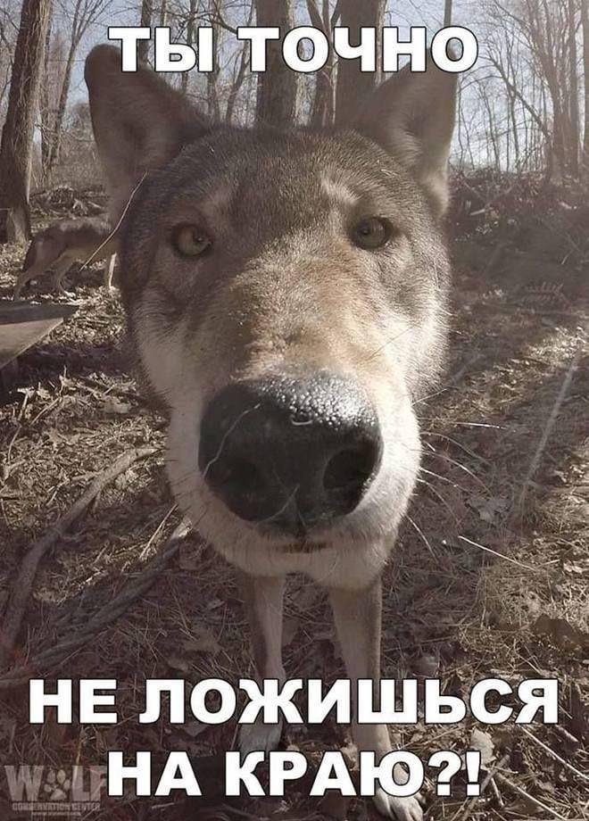 fal НИ у 8 3 и я ЛОЖИШЬСЯ НА К A
