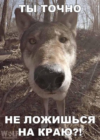 fal НИ у 8 3 и я ЛОЖИШЬСЯ НА К A