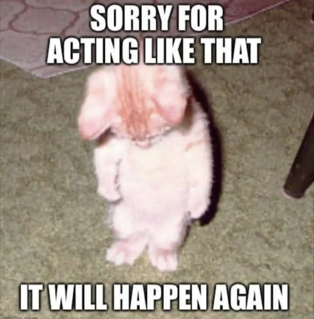 SORRY FOR THAT IT WILL HAPPEN AGAIN