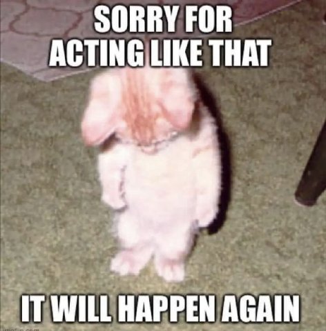 SORRY FOR THAT IT WILL HAPPEN AGAIN