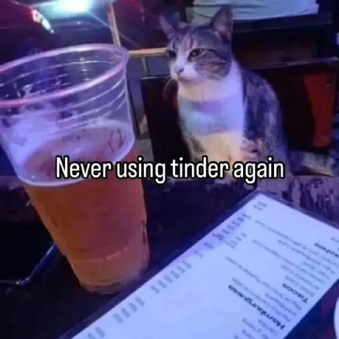 Never using tinder again