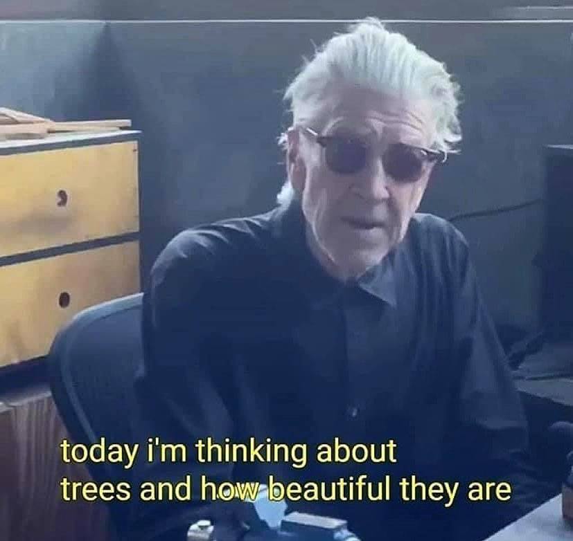 today thinking about trees and they are