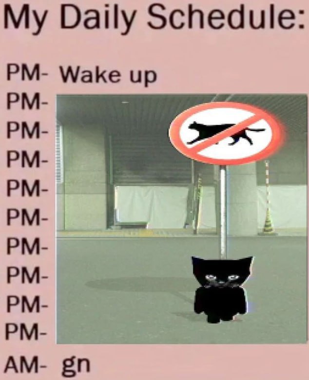 My Daily Schedule Wake up