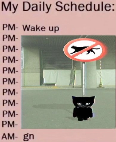 My Daily Schedule Wake up