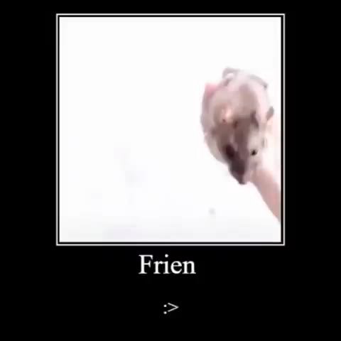 мем