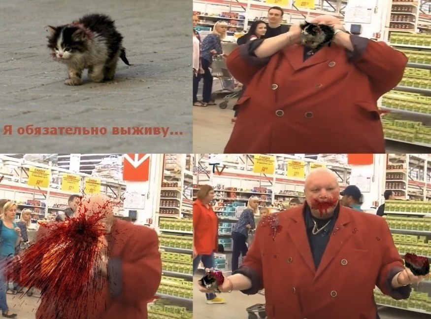 a Я обязательно выживу... a