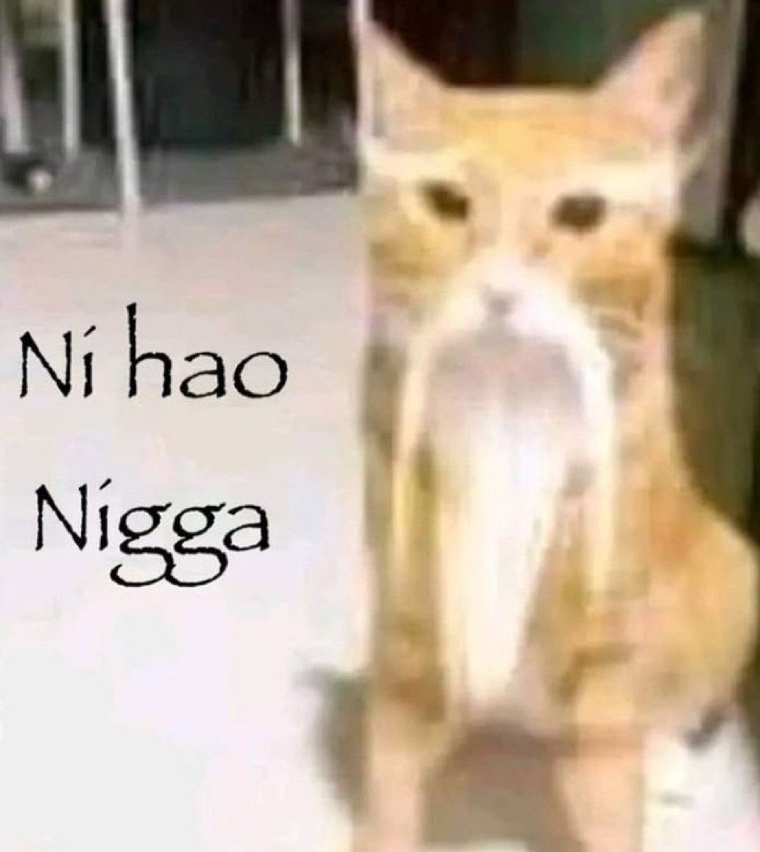 hao Nigga