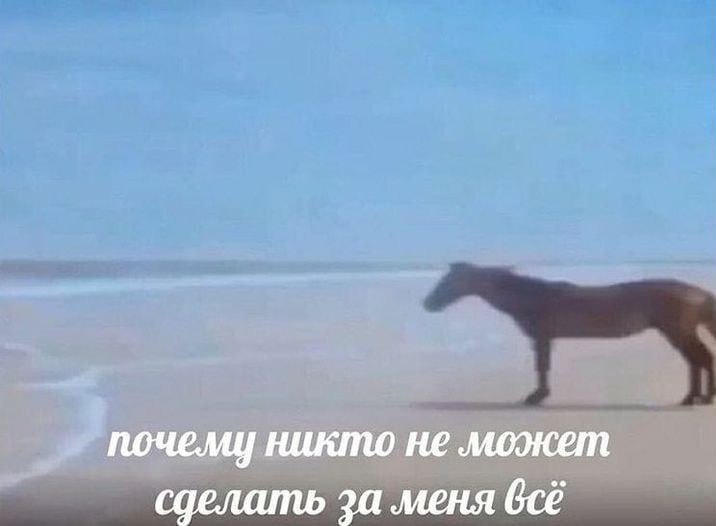 почели никто не может сделать за меня всё