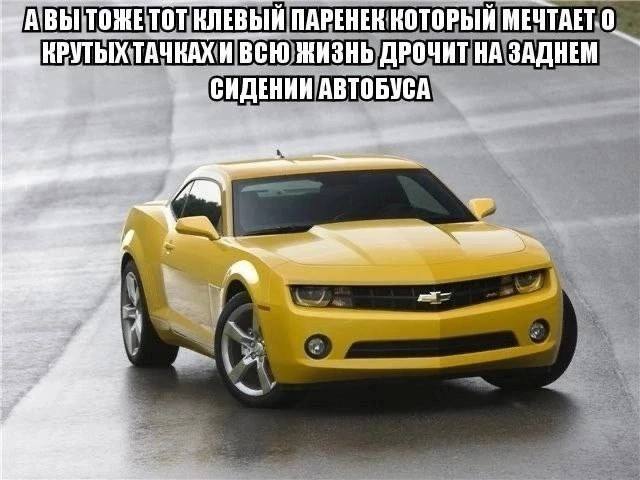 КЛЕВЫЙ ПАРЕНЕК КОТОРЫЙ КРУТЫХТАЧКАХИ ВСЮ ЖИЗНЬ ДРОЧИТ НА ЗАДНЕМ СИДЕНИИ АВТОБУСА к: