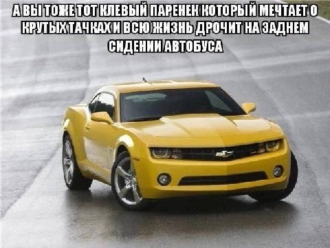 КЛЕВЫЙ ПАРЕНЕК КОТОРЫЙ КРУТЫХТАЧКАХИ ВСЮ ЖИЗНЬ ДРОЧИТ НА ЗАДНЕМ СИДЕНИИ АВТОБУСА к: