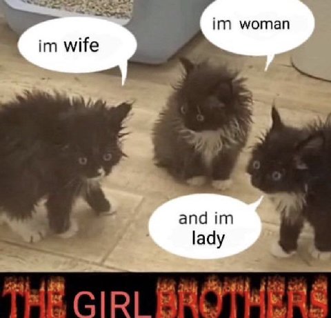 woman wife and |аау