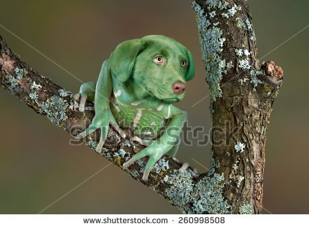 My же у a и у 5% В у у. www.shutterstock.com 260998508