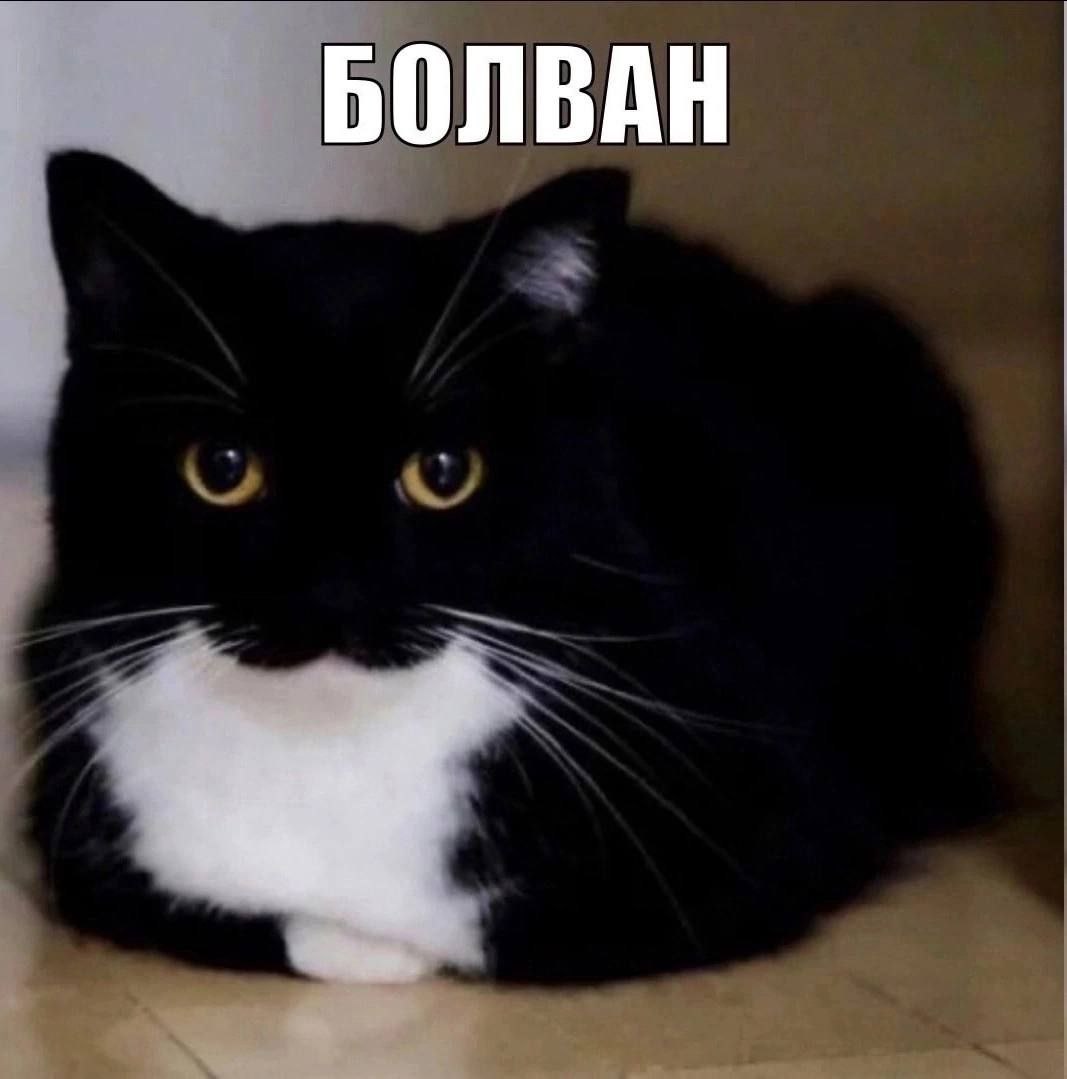 БОЛВАН