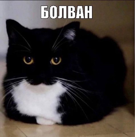 БОЛВАН
