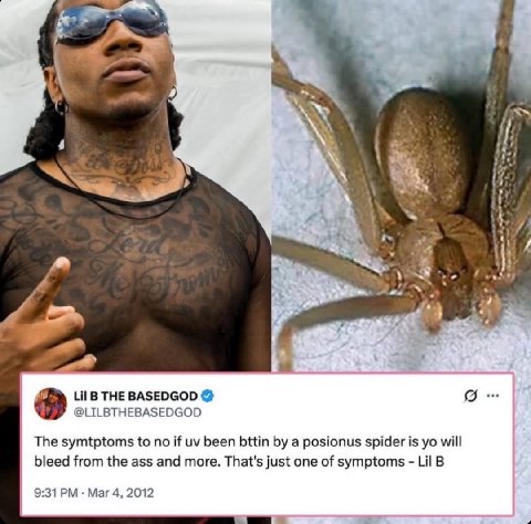 А a у if 4 3 7 Lil THE BASEDGOD @LILBTHEBASEDGOD The symtptoms to no if been bttin a posionus spider is will bleed from the ass and more. That's just one of symptoms Lil 9:31 Mar 4, 2012