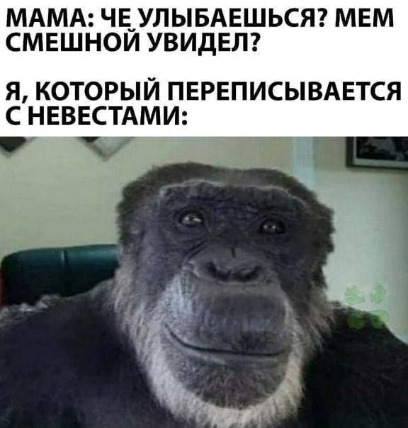МАМА: ЧЕ УЛЫБАЕШЬСЯ? МЕМ СМЕШНОЙ УВИДЕЛ? Я, КОТОРЫЙ ПЕРЕПИСЫВАЕТСЯ С НЕВЕСТАМИ: