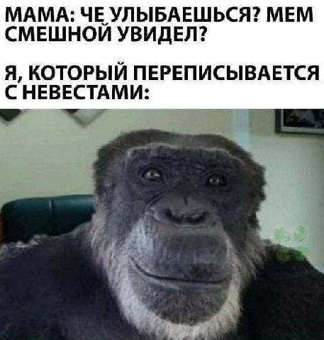 МАМА: ЧЕ УЛЫБАЕШЬСЯ? МЕМ СМЕШНОЙ УВИДЕЛ? Я, КОТОРЫЙ ПЕРЕПИСЫВАЕТСЯ С НЕВЕСТАМИ: