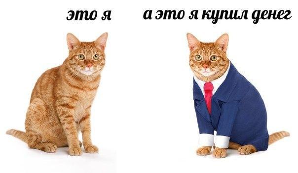 это A а это я купил денег on 3 we 4